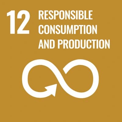 НҮБ-ын Тогтвортой хөгжлийн 12-р зорилго: Responsible Consumption and Production